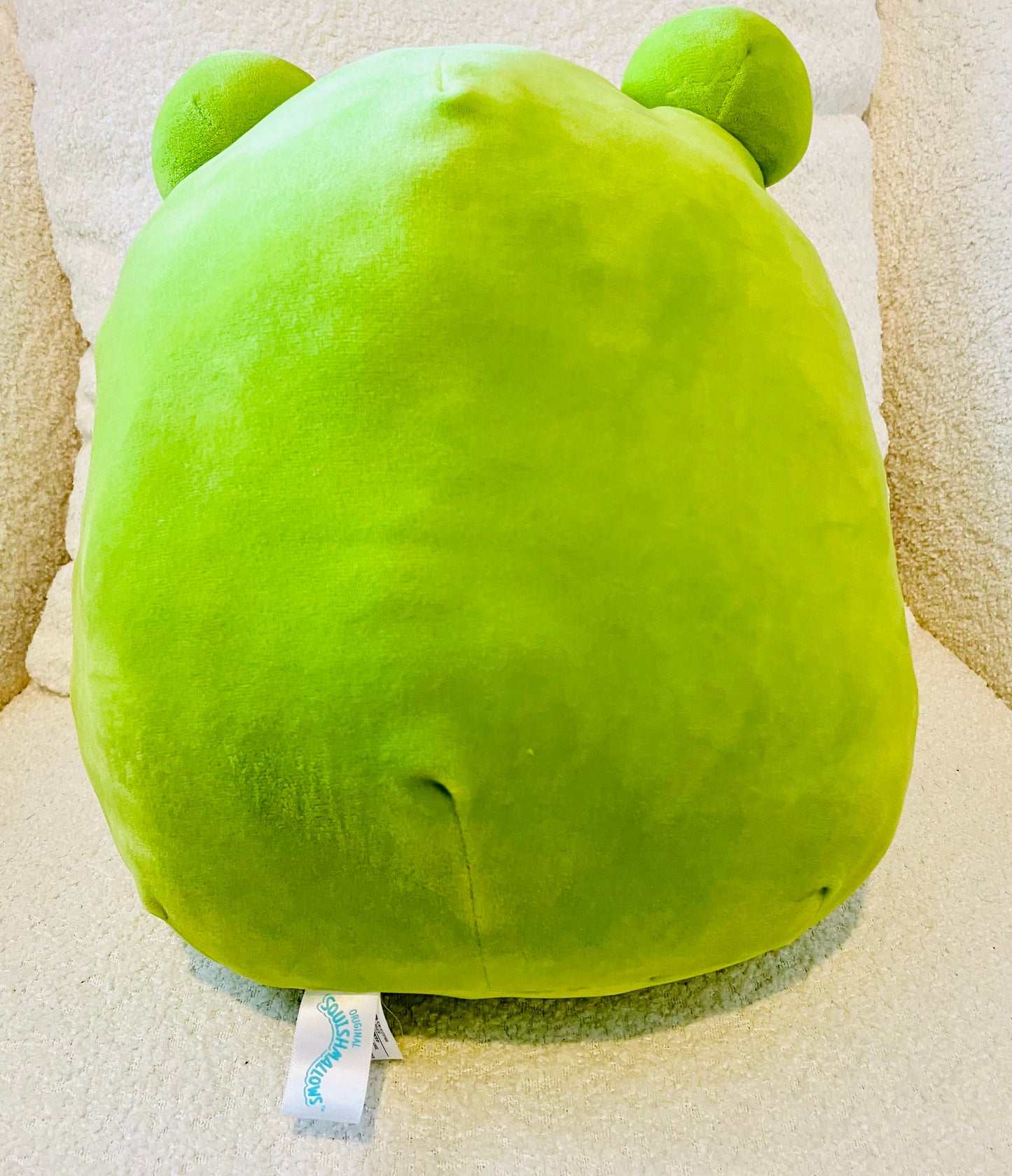 13" inch Wendy the frog W/rainbow tummy Squishmallow ( NWOT)